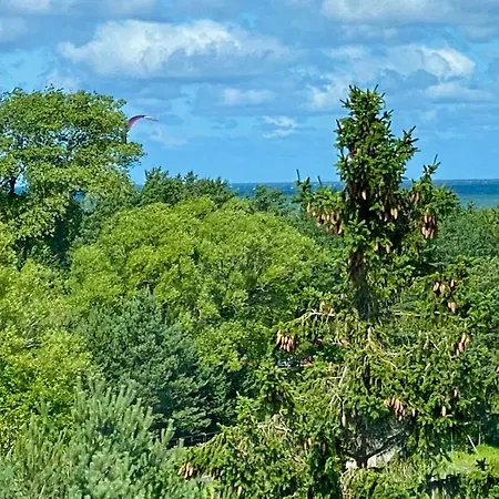 Sea & Sunset View In